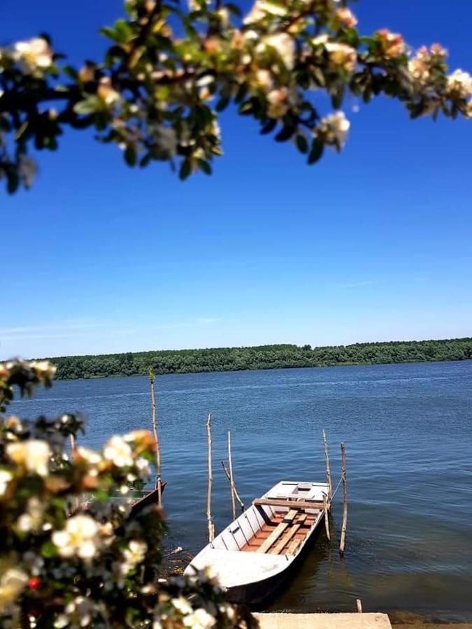 San Na Vodi Villa Semendria Exterior foto